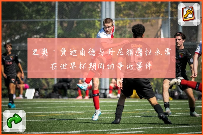 里奥·费迪南德与丹尼猎鹰拉米雷斯在世界杯期间的争论事件