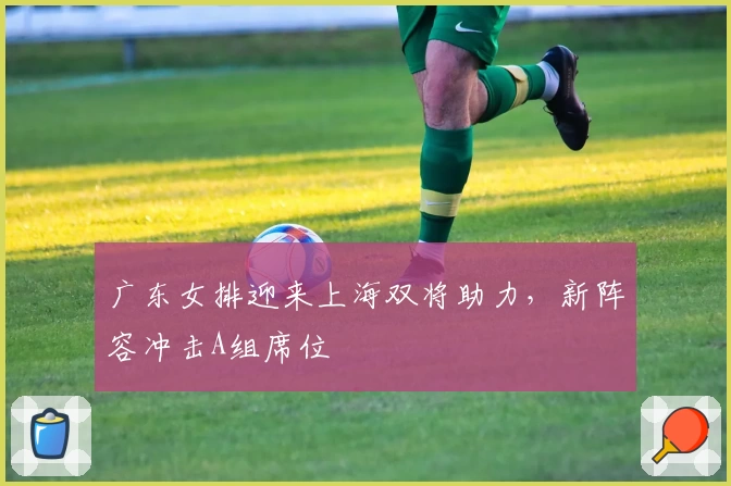 广东女排迎来上海双将助力，新阵容冲击A组席位